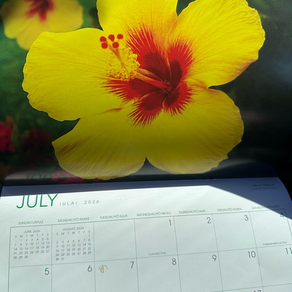 570. FLOWERS of Hawaii 2025 Hawaiian Twelve-Month Wall Calendar - Picture 4 of 5